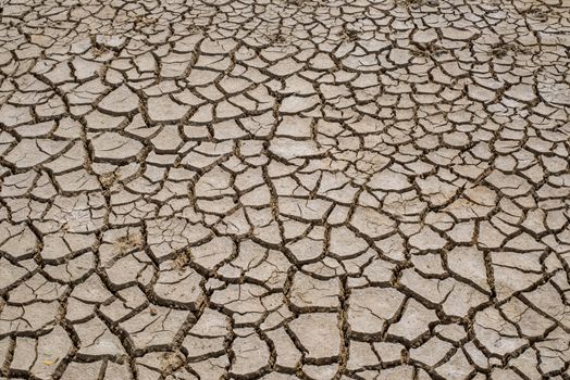 Crack soil on dry season, Global warming / cracked dried mud / Dry cracked earth background / The cracked ground, Ground in drought, Soil texture and dry mud, Dry land.