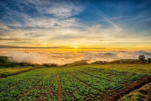 Sunrise over mountain at Phu Tab Berk,THAILAND