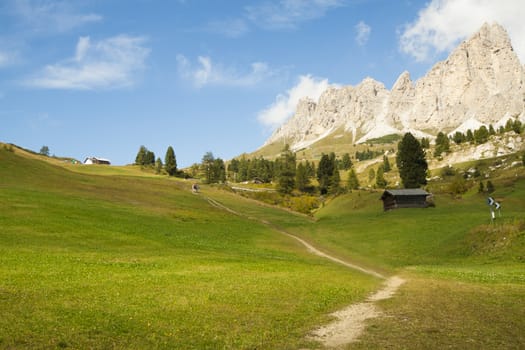 View of a path in a valley in the Dolomities with green meadow, blue sky and a mountain in the background