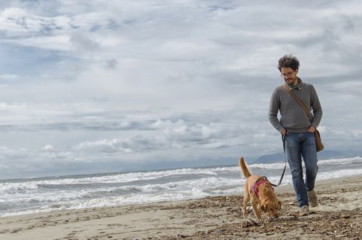 View of man and dog walking on the beach