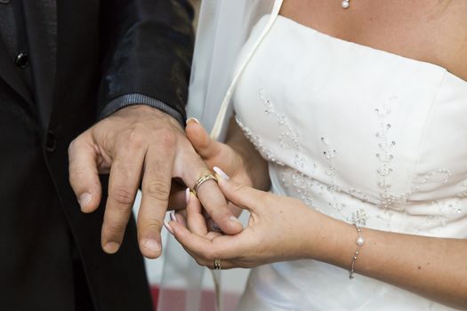 Close up view of wedding rings