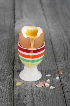 The soft-boiled egg in the stand, on a gray wooden background
