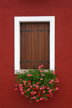 Window of one of the colored houses in Burano - Venice - Italy