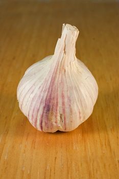 One full garlic on a brown breadboard