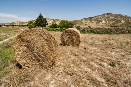 Meadow of hay bales in Basilicata region in Italy