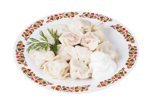 Ukrainian meat dumplings on plate on white background, isolated