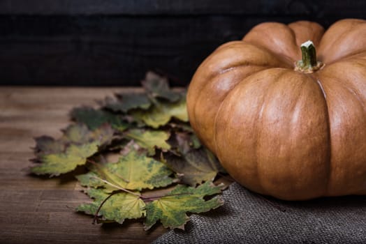 pumpkin lying on a wooden table with viburnum and seeds