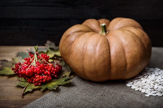pumpkin lying on a wooden table with leaves, viburnum and seeds
