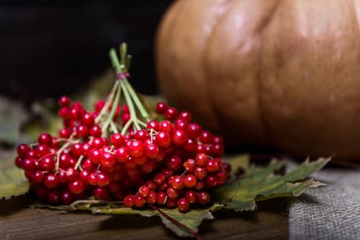 pumpkin lying on a wooden table with leaves, viburnum