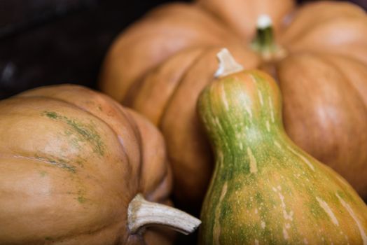 pumpkins lying on a wooden table