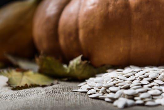 pumpkins lying on a wooden table with viburnum and seeds