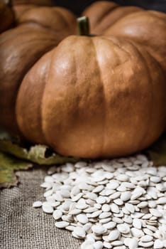 pumpkins lying on a wooden table with viburnum and seeds