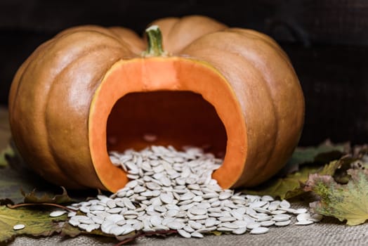 pumpkin lying on a wooden table with viburnum and seeds