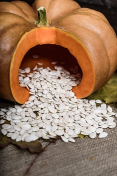 pumpkin lying on a wooden table with viburnum and seeds