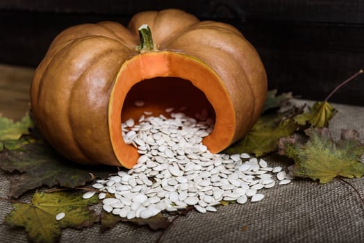 pumpkin lying on a wooden table with viburnum and seeds