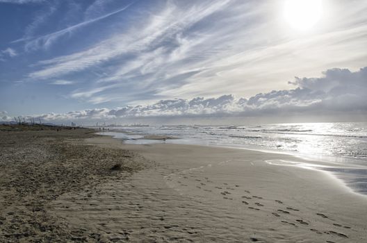 View of the beach and the industrial port of Livorno