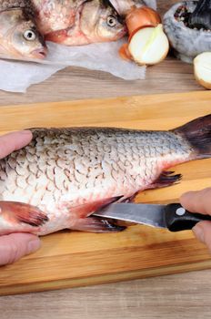 Cutting  fresh crucian carp on a wooden cutting board