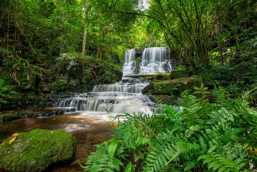 Mun-Dang's waterfall with antirrhinum flower which bloom only once a year at 5th floor in Petchaboon province,Thailand