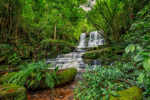 Mun-Dang's waterfall with antirrhinum flower which bloom only once a year at 5th floor in Petchaboon province,Thailand