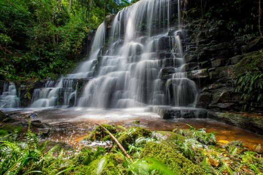 Mun-Dang's waterfall with antirrhinum flower which bloom only once a year at 5th floor in Petchaboon province,Thailand