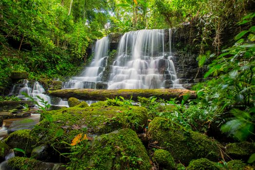 Mun-Dang's waterfall with antirrhinum flower which bloom only once a year at 5th floor in Petchaboon province,Thailand