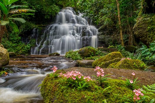 Mun-Dang's waterfall with antirrhinum flower which bloom only once a year at 5th floor in Petchaboon province,Thailand