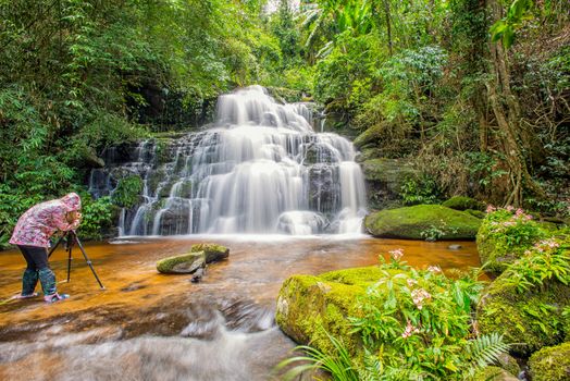 Mun-Dang's waterfall with antirrhinum flower which bloom only once a year at 5th floor in Petchaboon province,Thailand