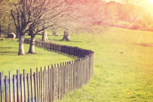 Wooden Fence Early in the Morning