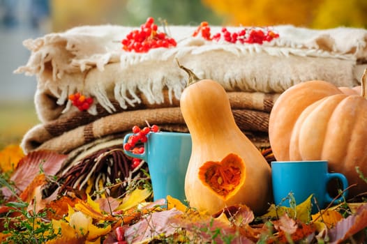 Autumn thanksgiving romantic still life with stacked plaids, pumpkins, apples, berries and coffee cups