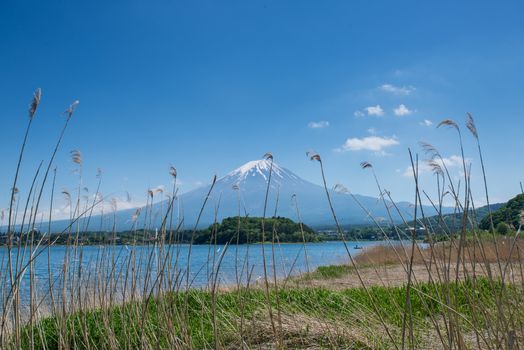 Mount Fuji reflected in Lake , Japan.