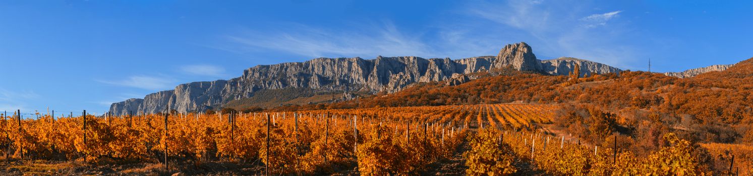 running clouds over the mountains and the vineyard