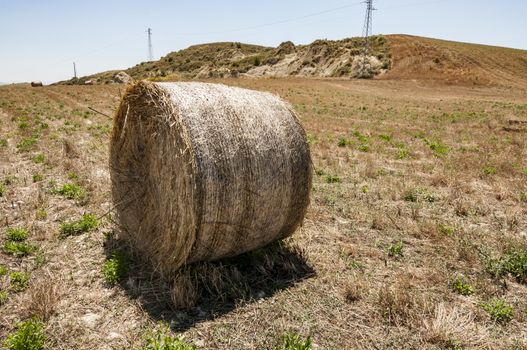 Meadow of hay bales in Basilicata region in Italy