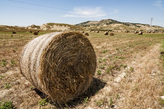 Meadow of hay bales in Basilicata region in Italy