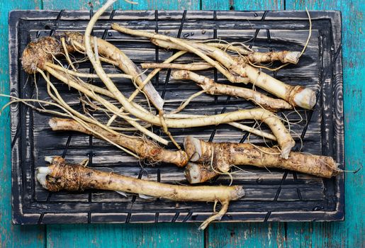 Kitchen plaque with the roots horseradish.View top