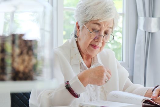 Senior woman reading a book at home