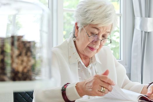 Senior woman reading a book at home