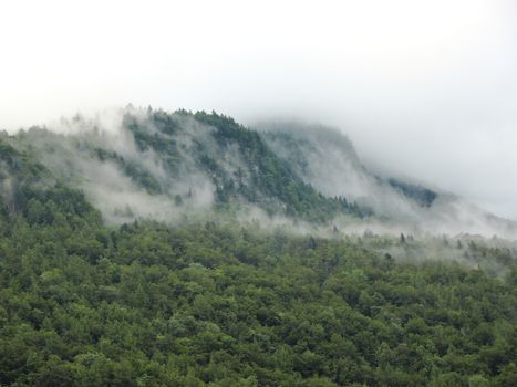 Mystery Forest Fog in Mountains after Cool Rainfall in Austrian Alps