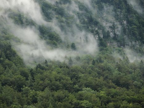 Mystery Forest Fog in Mountains after Cool Rainfall in Austrian Alps