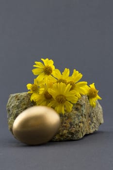 Gold nest egg in front of natural rock and flowers with yellow petals against a sophisticated, simple gray background.  Copy space available.  Symbols of success, security, and beauty. 