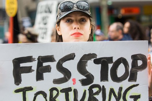 Protesters rally against the torture and detention of indigenous children in the Northern Territory. The rally was held outside the State Library.