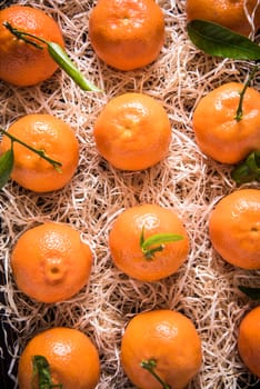 Fresh tangerines in tranportation crate, plantation industry or market