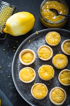 Portugese mini lemon custard tarts, with lemon curd and fresh fruit