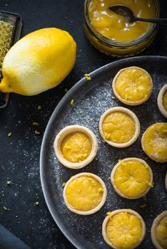 Portugese mini lemon custard tarts, with lemon curd and fresh fruit