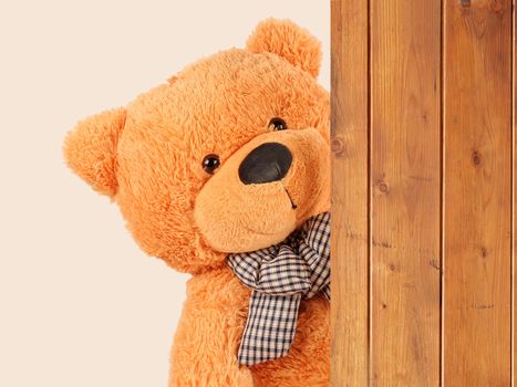 fluffy plush teddy bear overside wooden board