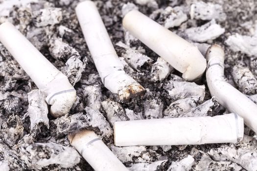 cigarette butts and ash, close up.

