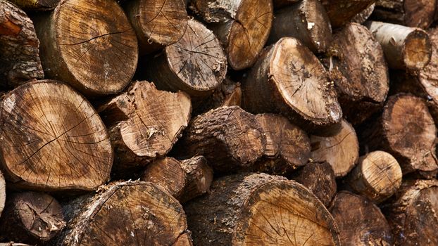 Firewood. Dry firewood in a pile for furnace kindling