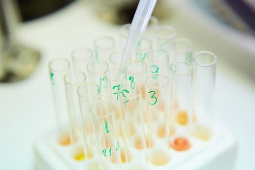 A pipette dropping sample into a test tube,abstract science background. Shallow dof