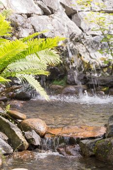 Water Streaming in Creek with Fern on the side.