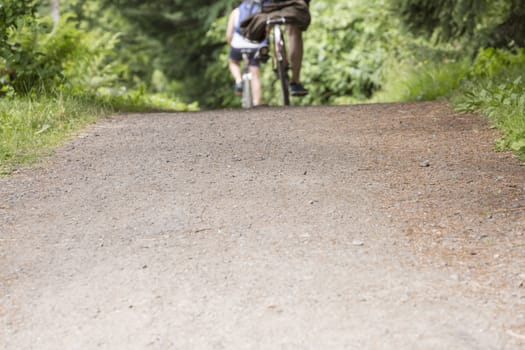 Bikers on Gravel Path with vegetation.