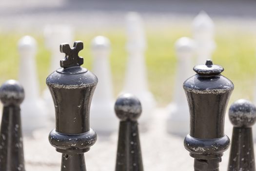 Chess Lawn Game with grass in the background.